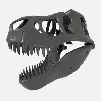 tyrannosaurus rex skull - 3d print model artgeorg 3D print model - Mito3D