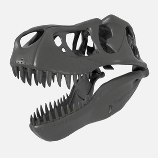 tiranossauro rex crânio 3d impressão modelo artgeorg 3d print model - Mito3D