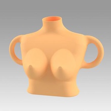 vase female breast print ready 3d model object modeled environment solidworks 2020 create photo renderer use inventor studio contains most popular formats max version 2016 2013 fbx dwg stp obj stl igs more each file checked opening full content modelthank you coming see also pay attention other models clicking name account right corner 3d print model - Mito3D