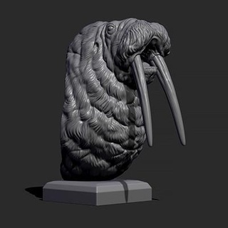 walrus bust guninnik81 3d print model - Mito3D
