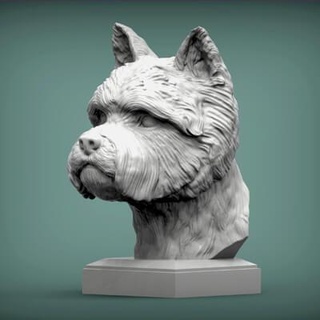 west highland white terrier bust 3d print model alexander3dart 3d print model - Mito3D