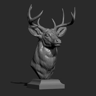 white tailed deer bust - 3d print model guninnik81 3d print model - Mito3D