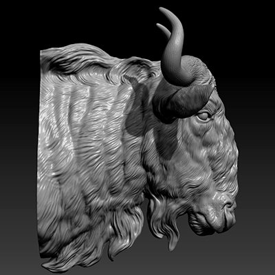 wildebeest head - print ready 3d model guninnik81 3D print model - Mito3D