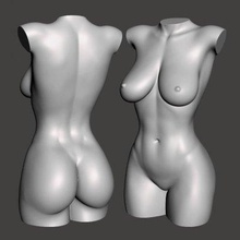 mujer torso impresión Listo 3d modelo line2art 3d print model - Mito3D