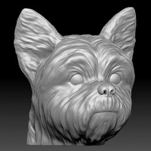 yorkshire terrier head - print ready 3d model printedreality 3d print model - Mito3D