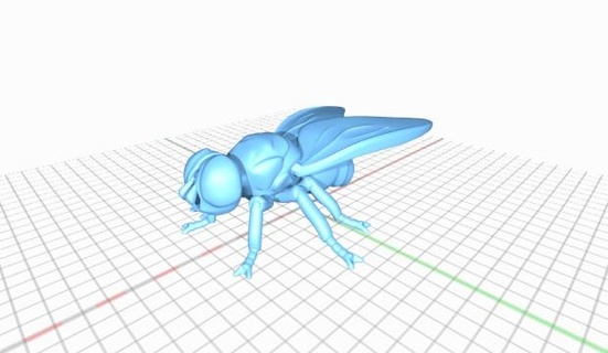 fly 3d print model - Mito3D