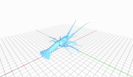 large marine crustacean - lobster 3d print model - Mito3D