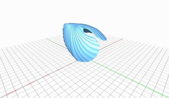 sea shell pearl seashellwithpearl 3d print model - Mito3D