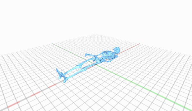 iskelet 3D print model - Mito3D
