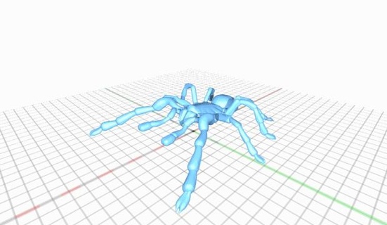 tarentule famille Loup araignées tarantulafamilyofwolfspiders 3d print model - Mito3D