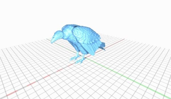 vautour 3d print model - Mito3D