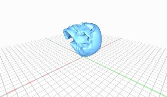 cranio cranio 3d print model - Mito3D