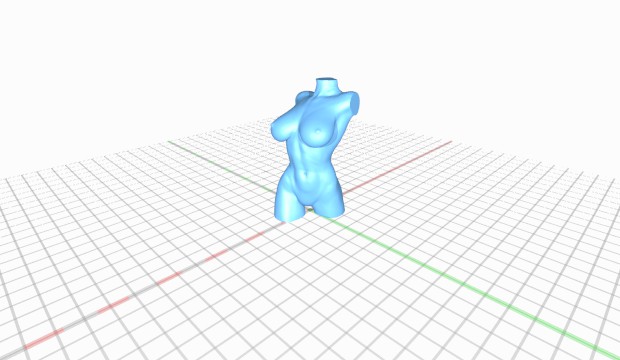 female torso femaletorso 3D print model - Mito3D