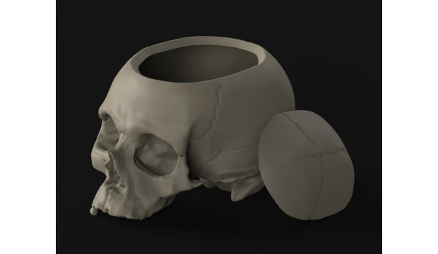 cranio 4 box halloweencontest2015 3D print model - Mito3D