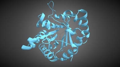 1tim struttura triose fosfato isomerasi Scarica gratuito 3d modello enriquebumbury 6bd31f2 3d print model - Mito3D