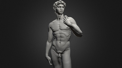 3d druckbar David Statue Michelangelo Kaufen Lizenzgebühren frei Modell zstuff Rumpelstilzchen 0d1911e 3d print model - Mito3D