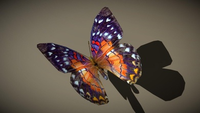 3drt oiseaux bestioles butterfly 01 acheter royalties libre 3d modèle 3drtcom 1e96cd6 3d print model - Mito3D