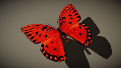 3drt pássaros criaturas butterfly 03 Comprar realeza livre 3d modelo 3drtcom da24add 3d print model - Mito3D