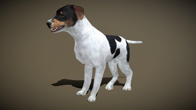 3drt domestico animali cane acquistare royalty gratuito 3d modello 3drtcom 1a35892 3d print model - Mito3D