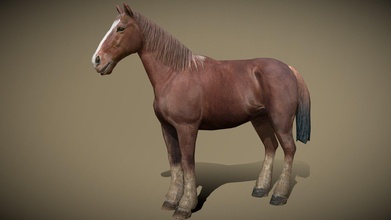 3drt domestico animali cavallo acquistare royalty gratuito 3d modello 3drtcom 7aafd55 3d print model - Mito3D