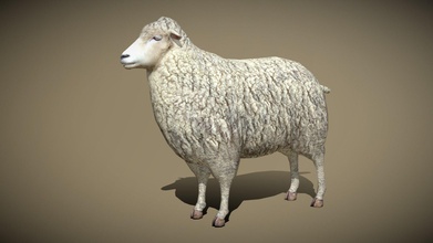 3drt national animaux mouton acheter royalties libre 3d modèle 3drtcom fbfc092 3d print model - Mito3D