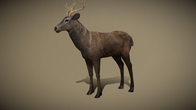 3drt - wild animals deer buy royalty free 3d model 3drtcom adc173f 3d print model - Mito3D