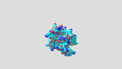 3pbr - 3d model hongliang 0fc7394 structure interaction between drug meropenem protein penicillin-binding pbp3 essential enzyme responsible final steps peptidoglycan synthesis three oxygen atoms form hydrogen bonds nitrogen residues asn-351 lys-484 thr-487 ser-294 addition there atom residue ser -485 forms bond ser-349 side chain other hand covalent ser-394 antibiotic 3d print model - Mito3D