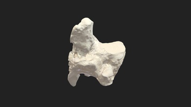 4 osso tarsale os quartum maiale scarica gratis 3d modello vetanatmunich 386dc98 3d print model - Mito3D