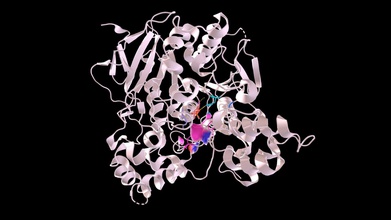 acetylcholinesterase ache sarin - 3d-Modell eilizzajovielle b639ba7 gefunden synapse zwischen Nervenzellen, Muskelzellen wartet Frühjahr in der Aktion nach dem signal Hydrolyse von Acetylcholin Cholin-Acetat anderen Seite organophosphorus Nerv-agent verwendet, Handlungen, Krieg, terror Hemmung die bewirkt, dass build-up Acetylcholin, das könnte möglicherweise dazu führen Reizüberflutung Nervensystems Anfälle provozieren vermitteln Atemstillstand zum Tod 3d print model - Mito3D