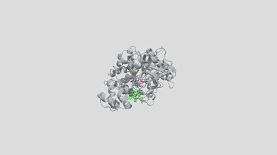 acetylcholinesterase-Interaktion sarin - 3d-Modell taytayrox36 b522187 biol244 Zuordnung acetylcholinesterase ache verantwortlich, die den Abbau der neurotransmitter Acetylcholin ach, spielt Rolle mucles Kontraktion Nerven agent inhibts kovalent Bindung führt accumualtion ach-synapse verursacht ständige Muskulatur tödlich ausgesetzt hohe Konzentrationen verursachen können, victum sterben Erstickung durch Krämpfe des Zwerchfells Modell Interaktion zwischen Schmerz untersucht vier zentrale Bereiche 3d print model - Mito3D
