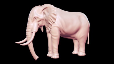africano elefante basemesh 3d modello acquistare royalty gratuito contadino peternak3d 0402eeb 3d print model - Mito3D