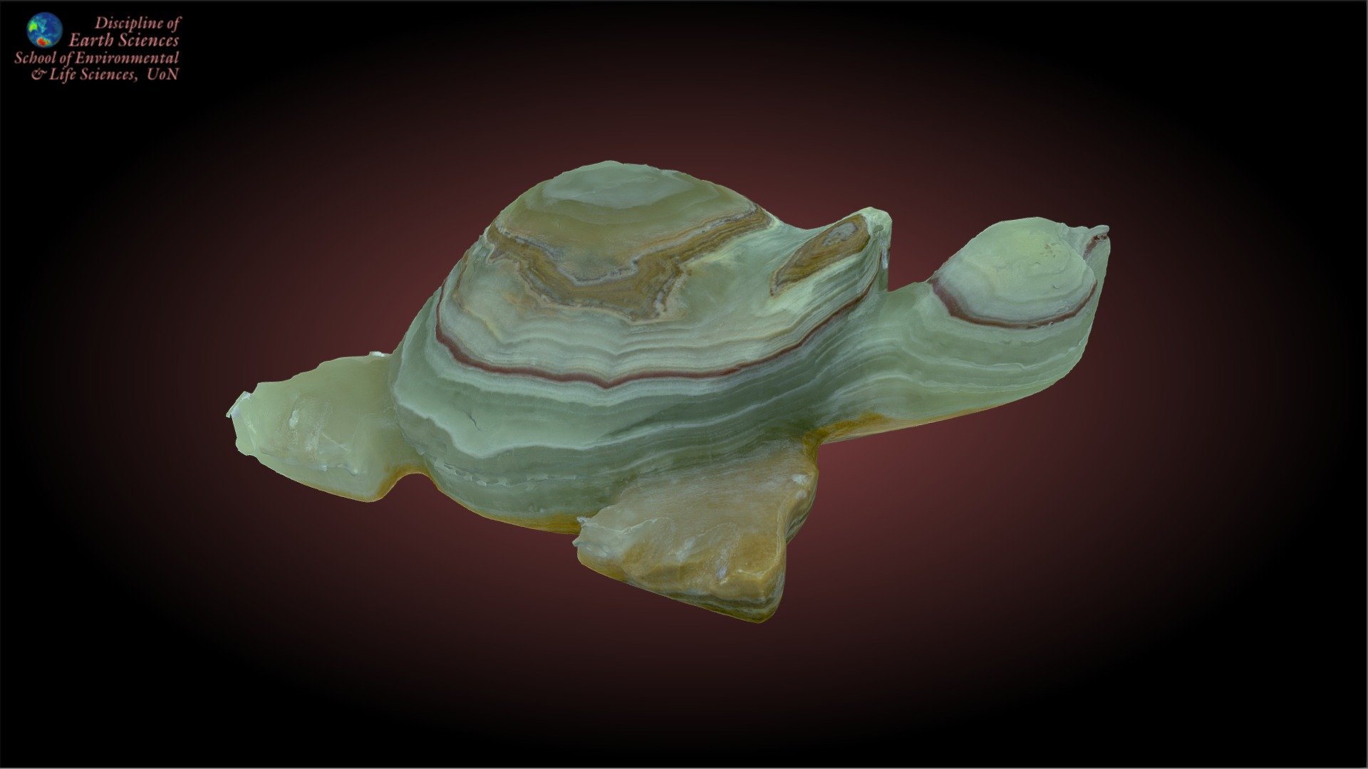 agate tortue 3d modèle Terre sciences Université Newcastle landy42 ede2422 3D print model - Mito3D