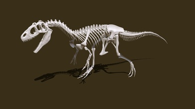 allosaurus skeleton - 3d model mariekebuis 8b9d63f 3d print model - Mito3D