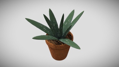 aloe vera bitki indir Bedava 3d model Imon kurmak eşzamanlı 99deaaf 3d print model - Mito3D