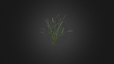 alopecurus geniculatus - buy royalty free 3d model evermotion 8cfa755 highly detailed plant all textures shaders materials ready use just put into your scene 3d print model - Mito3D