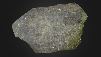 Amazon Ekvador petroglif aşınmış kaya parçası indir Bedava 3d model rmark 4e089f4 3d print model - Mito3D