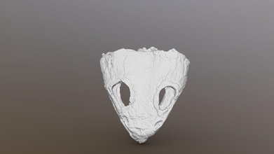 anfibio dvinosaurus cráneo 3d modelo gasolinera paleontología c72436d 3d print model - Mito3D