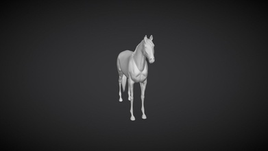 andalusian horse sculpt - 3d model seahorse 9140fc6 3d print model - Mito3D