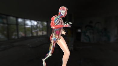 animation dissection anatomy systems runing - buy royalty free 3d model flarar 90c3b48 3d print model - Mito3D