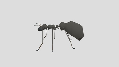 ant 1 - download free 3d model oakenale 56be061 3d print model - Mito3D