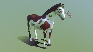 cavalo apaloosa - comprar royalty free 3d modelo edoomac 6d35453 tong dentadura 3d print model - Mito3D