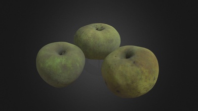 apples - raw photogrammetry download free 3d model victor0001 86e4e30 3d print model - Mito3D