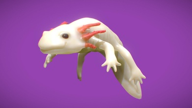 axolotl Comprar realeza livre 3d modelo nocvul 41f4581 3d print model - Mito3D