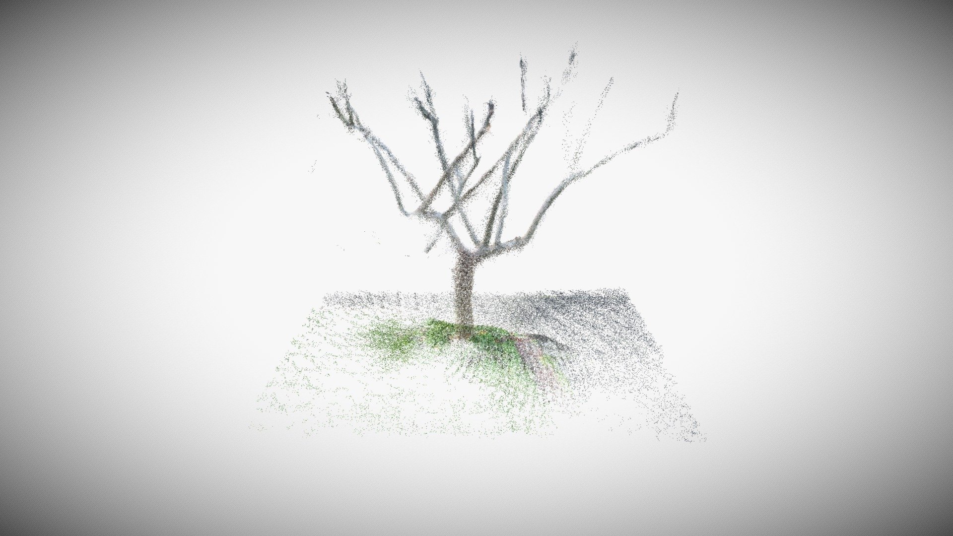 Giardino dietro casa albero catturato sitescape 3d modello kungphil 018bd1e 3D print model - Mito3D