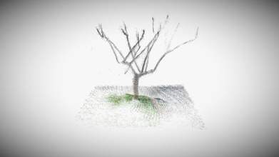 Giardino dietro casa albero catturato sitescape 3d modello kungphil 018bd1e 3d print model - Mito3D