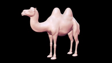 bactriano camelo basemesh 3d modelo Comprar realeza livre agricultor peternak3d a14d302 3d print model - Mito3D