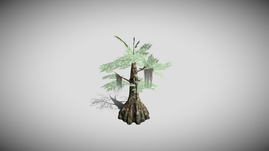 bald cypress tree - buy royalty free 3d model simon griffiths rubberman 0104293 3d print model - Mito3D
