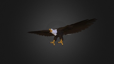 bald eagle - 3d model klaas nienhuis klaasnienhuis 74ophs4 3d print model - Mito3D
