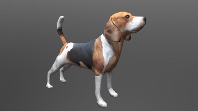beagle chien acheter royalties libre 3d modèle 3dlowpoly animaux national fbx ferme réaliste nature game ready dog lowpoly poly animal 3d print model - Mito3D