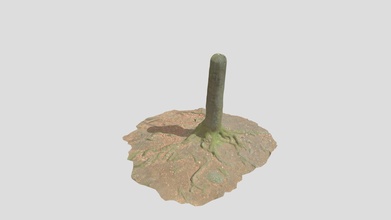 beech tree trunk roots processed scans forest - download free 3d model random-scans 659b85f 3d print model - Mito3D